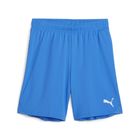 Teamgoal Shorts Jr