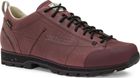 Shoe 54 Low Fg Evo GTX
