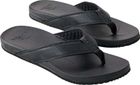 Chiba Bloom Open TOE