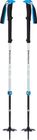 Expedition 2 Pro Ski Poles