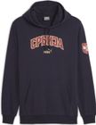 FSS Ftblicons Hoody