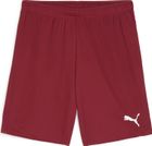 Teamgoal Shorts