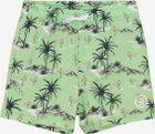 Swim Shorts AOP 720285