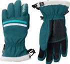 W Piste Ski Gloves R-shell DRY