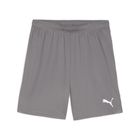 Teamgoal Shorts