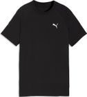 Evostripe Tee B
