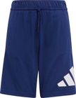 Essentials Shorts