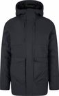 Jarvi M's Down Parka