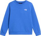 Teen Evolution Simple Dome Crew