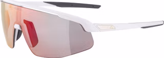 Alpina Turbo Pro QV Bike Brille