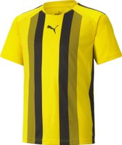 Teamliga Striped Jersey Jr