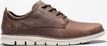 Mens Low Lace UP Sneaker