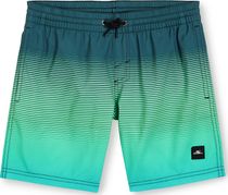 Jack O'neill Cali Gradient 14'' Swim Shorts