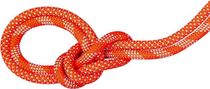 9.8 Crag Classic Rope