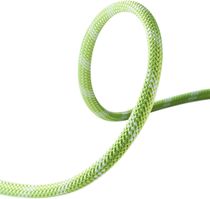 Static Low Stretch 11,0mm