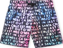 Cali Gradient 14'' Swim Shorts