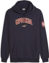 FSS Ftblicons Hoody