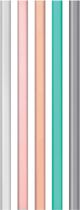 Reusable Straw Set Accessory 5pc L