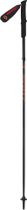 Pole Trail Carbon