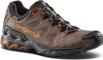 Ultra Raptor II Leather GTX