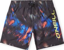 Cali Rutile 14'' Swim Shorts