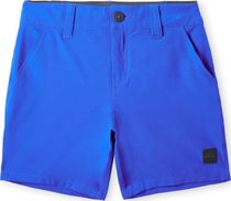 Hybrid Chino Shorts