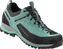 Dragontail Tech GTX WMS