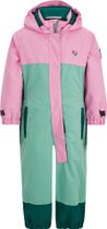Anup Mini Overall Ski