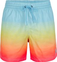 Cali Gradient 15'' Swim Shorts