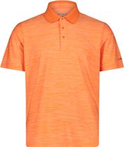 MAN Polo