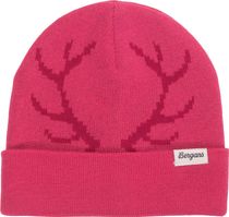 Antlers Kids Beanie