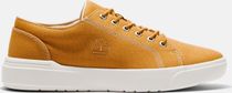 Mens Low Lace UP Sneaker