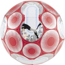 Puma Cage Ball