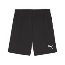 Teamgoal Shorts