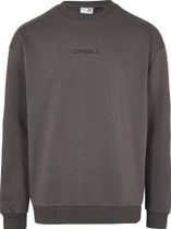 Future Surf Society Sweatshirt