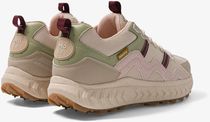 GEN7 - Corn X Cactus - Pink Aloe