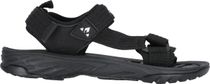 Zakim M Sandal