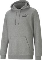 Essentials Small Logo Hoodie FL