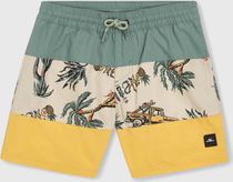 MIX & Match Cali Block 13'' Swim Shorts