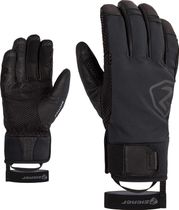 Gaspar ASR PR Glove Ski Alpine