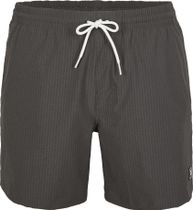 Vert Camorro 16'' Swim Shorts