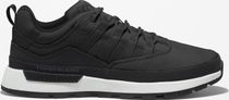 Mens Low Lace UP Sneaker