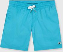 Vert 14" Swim Shorts