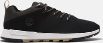 Mens Low Lace UP Sneaker