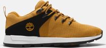 Mens Low Lace UP Sneaker