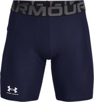 HG Armour Shorts