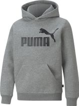 Essentials Big Logo Hoodie FL B