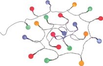 Gamma Light Chain