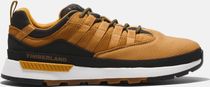 Mens Low Lace UP Sneaker