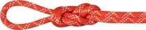 9.5 Gym Classic Rope